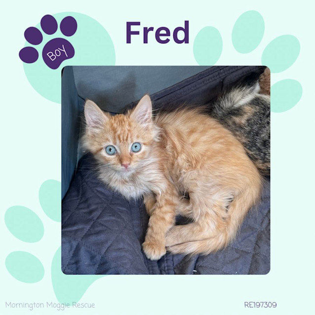 Photo of Fred