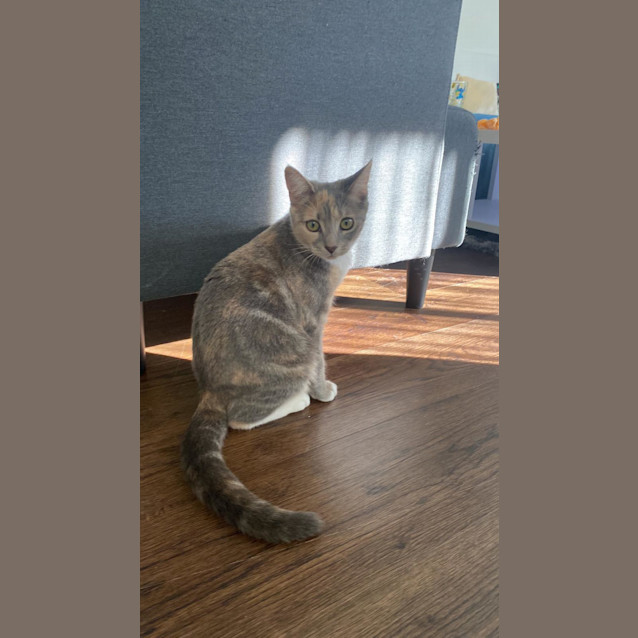 Photo of 🌼 Daisy 🌼