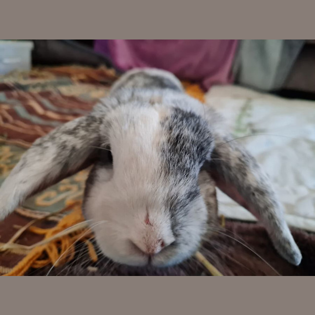 Photo of Peter Tumbler