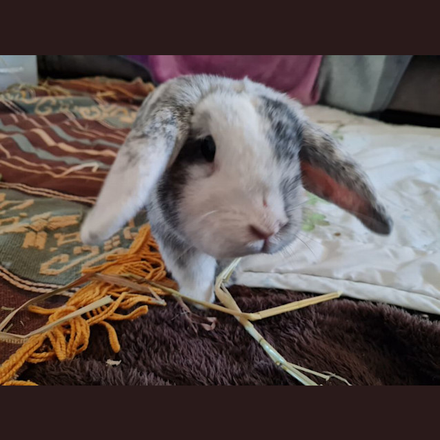 Photo of Peter Tumbler