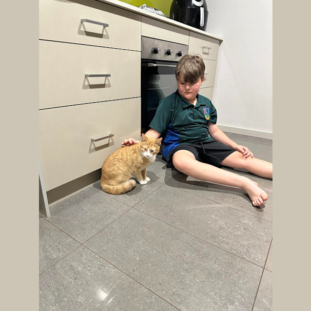 Photo of Captain Morgan