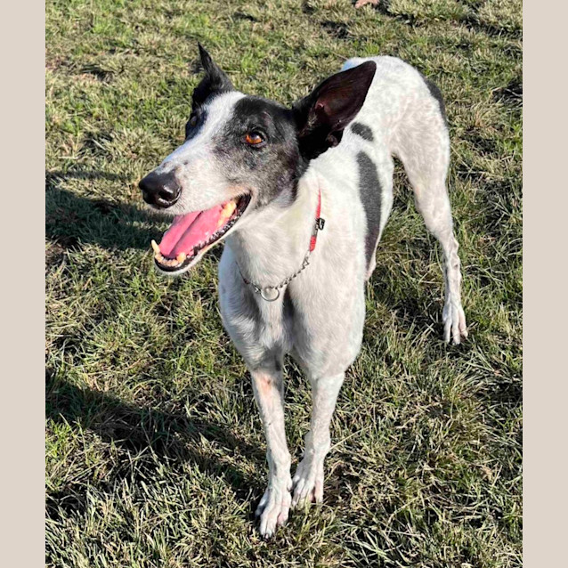 Photo of Wally