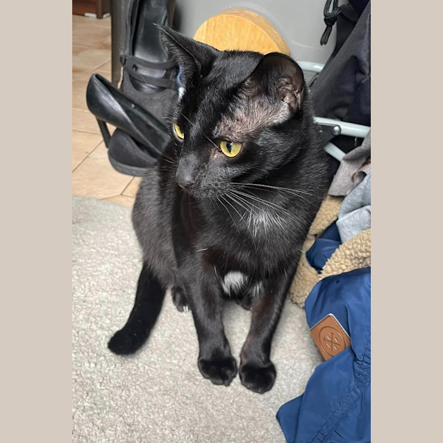 Photo of Jiji