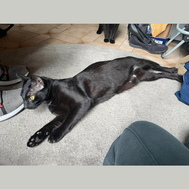 Photo of Jiji