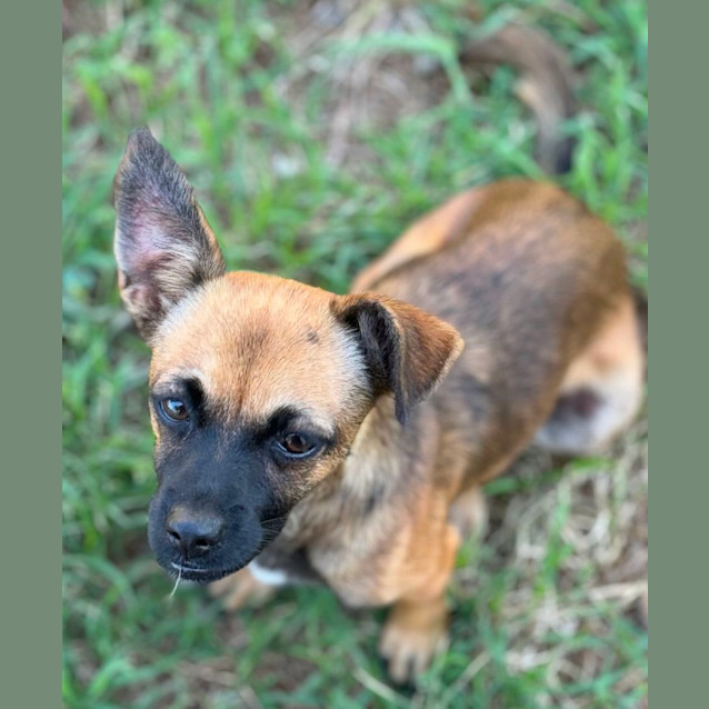 Photo of Norah, Ivy And Frankie