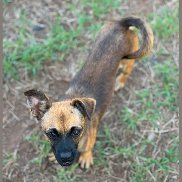 Photo of Norah, Ivy And Frankie
