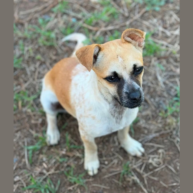 Photo of Norah, Ivy And Frankie