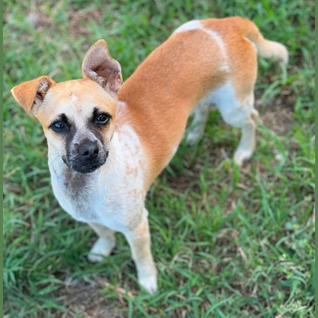 Photo of Norah, Ivy And Frankie