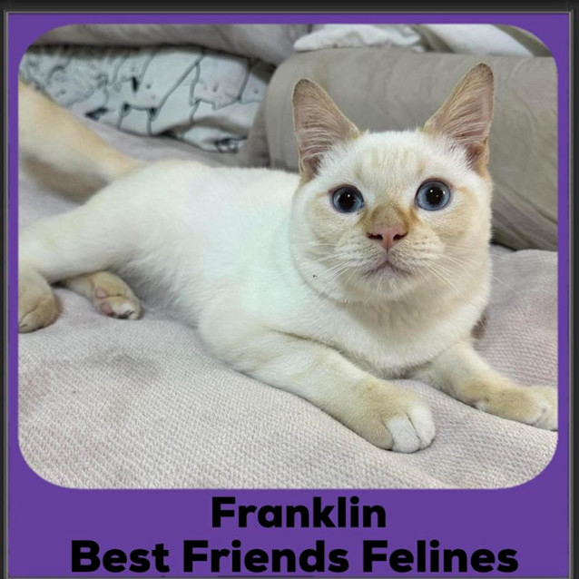 Photo of Franklin 