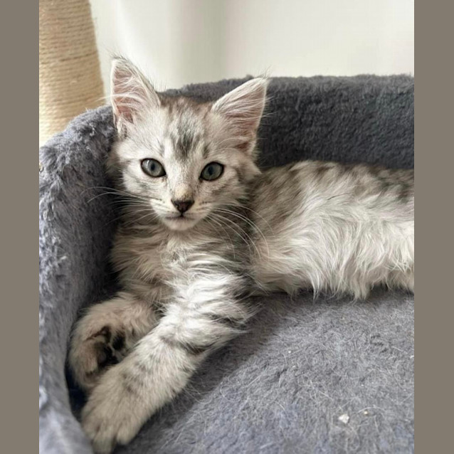 Photo of Misty & Milana 