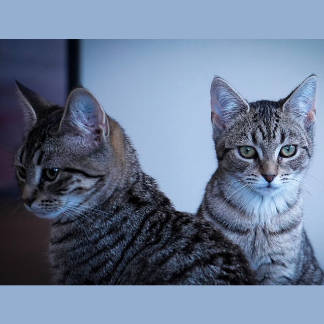 Photo of 🩷Navy & Binks 🩷