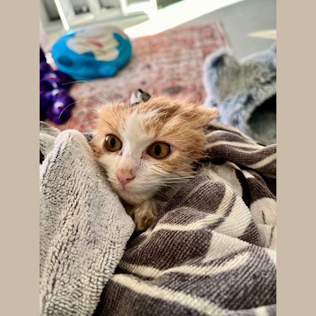 Photo of Jar Jar Binks