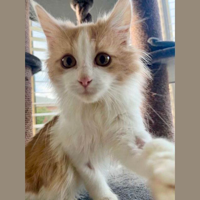 Photo of Jar Jar Binks