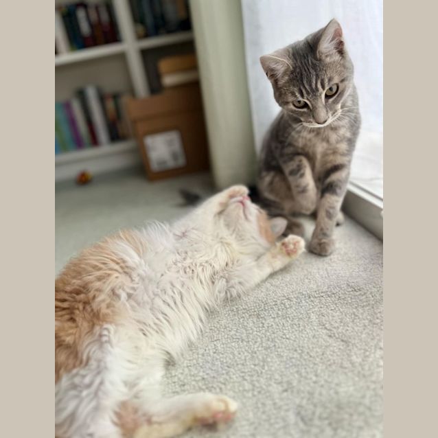 Photo of Jar Jar Binks