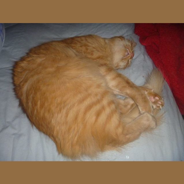 Photo of Sophie