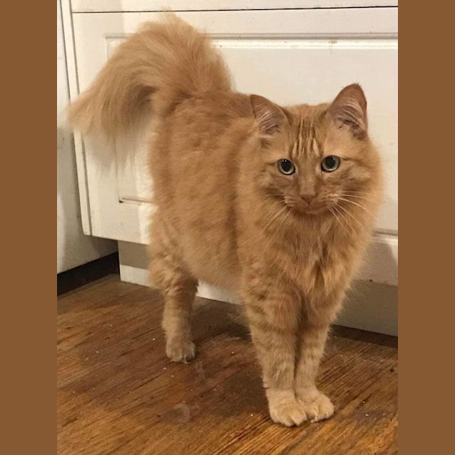 Photo of Sophie