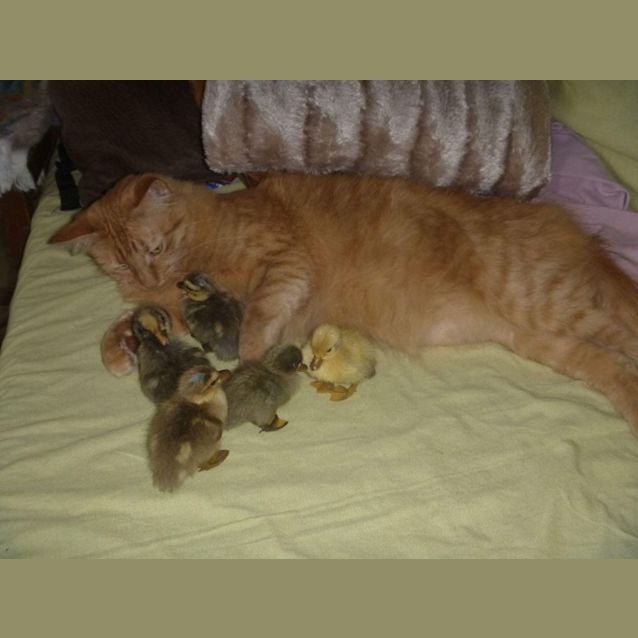 Photo of Sophie