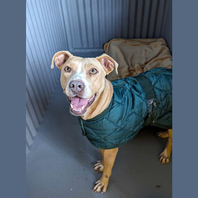 Photo of Lady Squeaky Pants