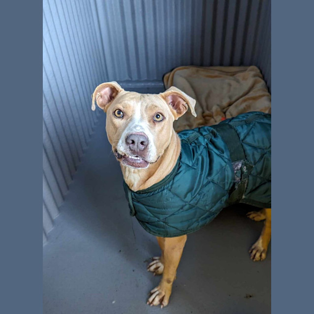 Photo of Lady Squeaky Pants