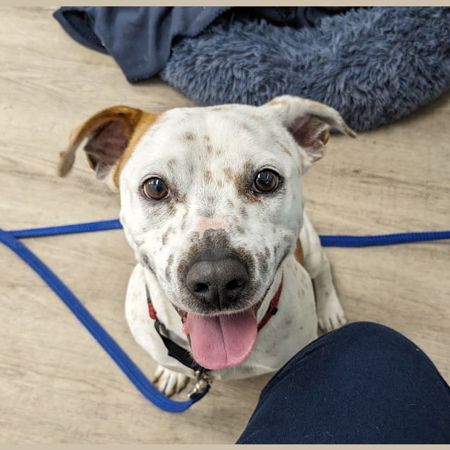 Photo of Jessie