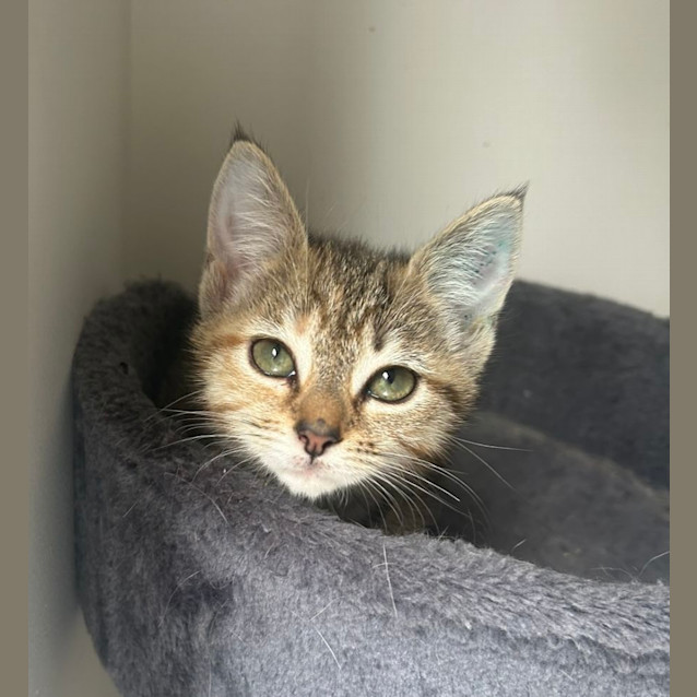 Photo of 🩷 Charlie 🩷