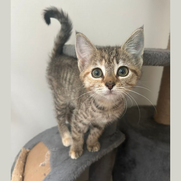 Photo of 🩷 Charlie 🩷