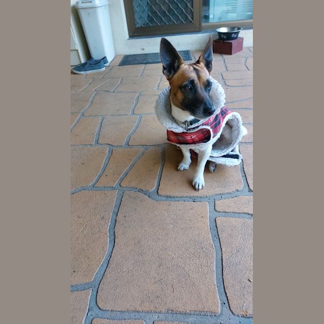 Photo of Max (Was Kenny)