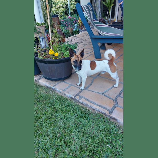 Photo of Max (Was Kenny)