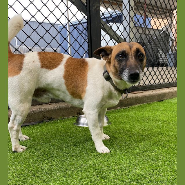 Photo of Max (Was Kenny)