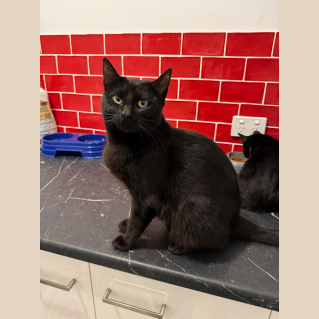 Photo of Freya