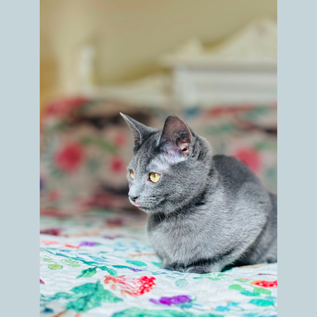 Photo of 🩵 Winnie 🩵