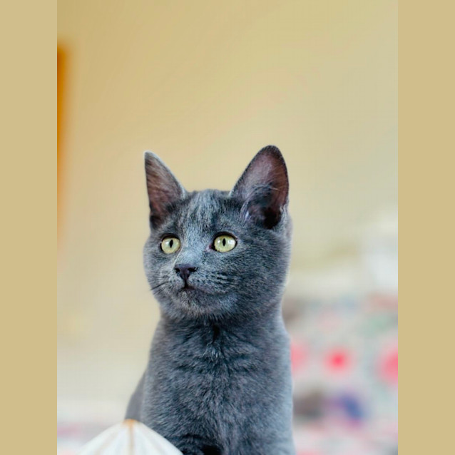 Photo of 🩵 Winnie 🩵