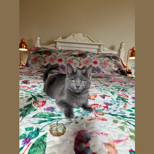 Photo of 🩵 Winnie 🩵