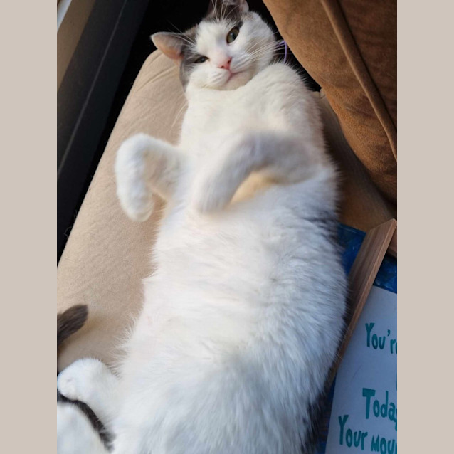 Photo of Murphy 😎🌈 