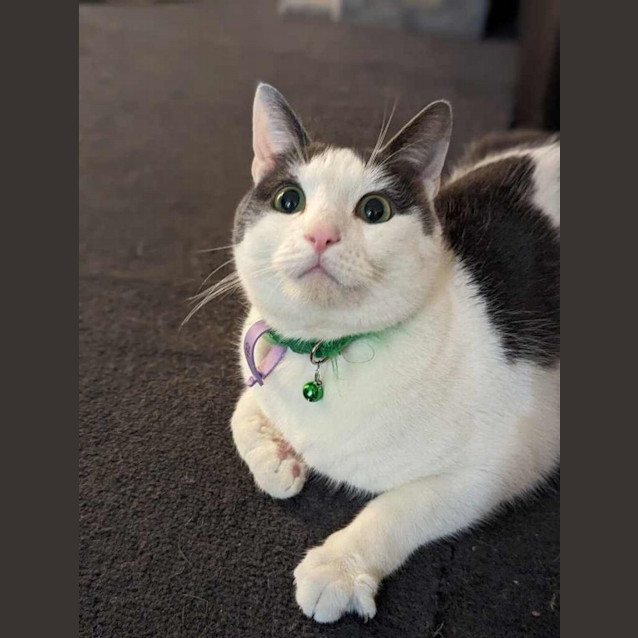 Photo of Murphy 😎🌈 