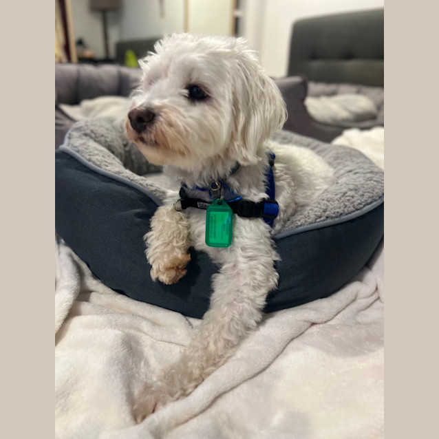 Photo of Charlie Bates 