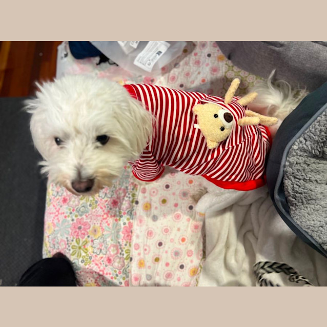 Photo of Charlie Bates 