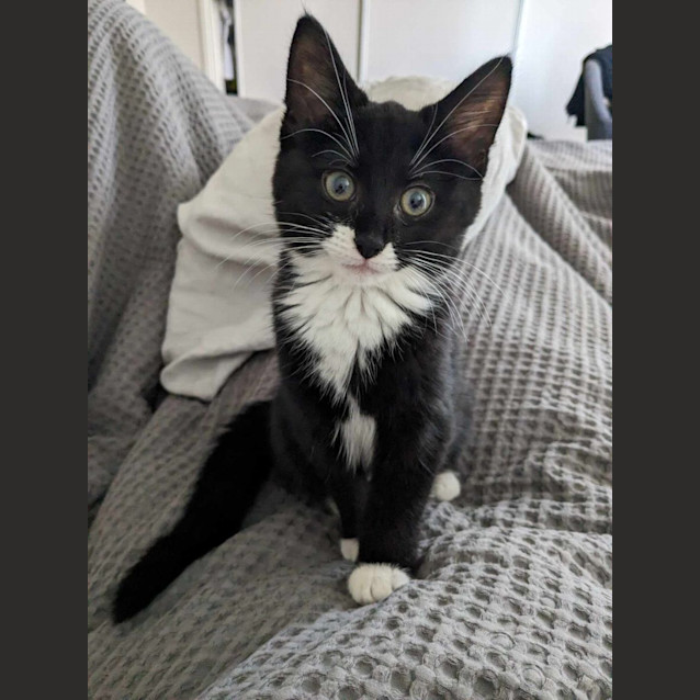 Photo of ⭐ Meela ⭐