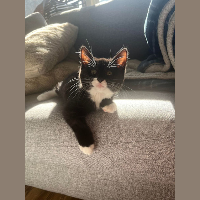 Photo of ⭐ Meela ⭐