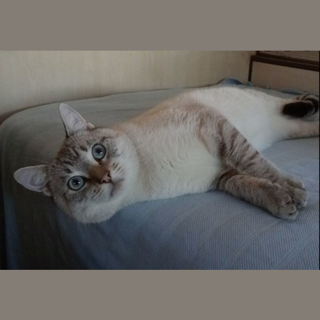 Photo of Colby