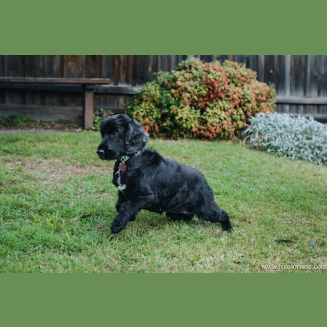 Photo of Scarlett Elphinstone