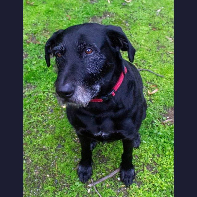 Photo of Nero Grimaldi