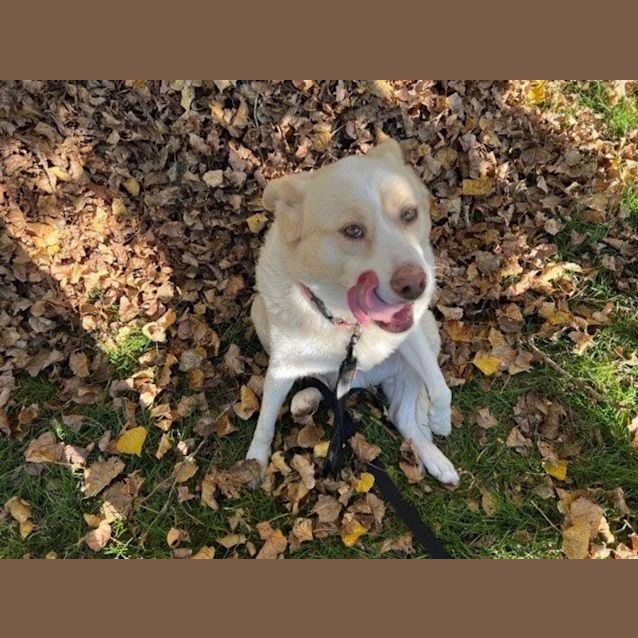 Photo of Mickey Elphinstone