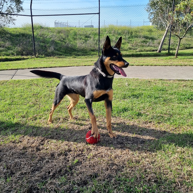 Photo of Annie