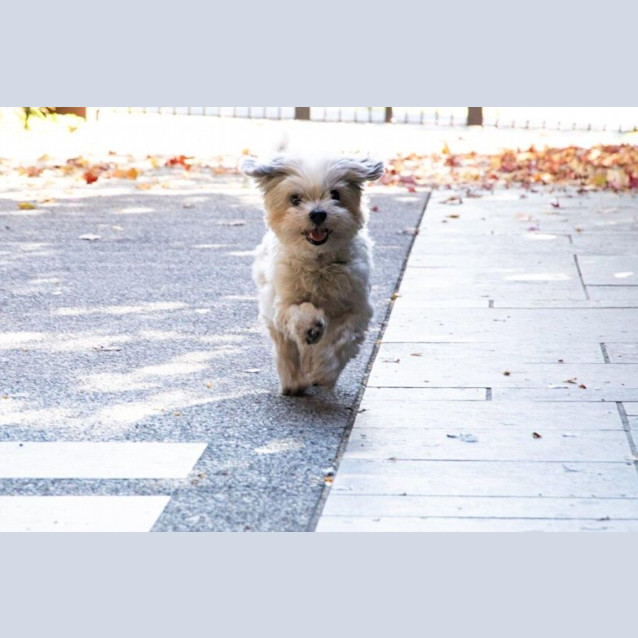 Photo of Candy Celestino