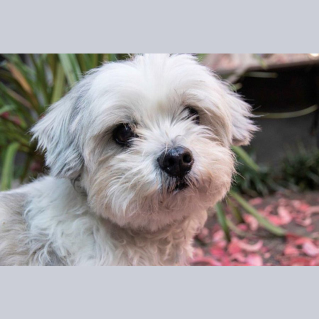 Photo of Candy Celestino