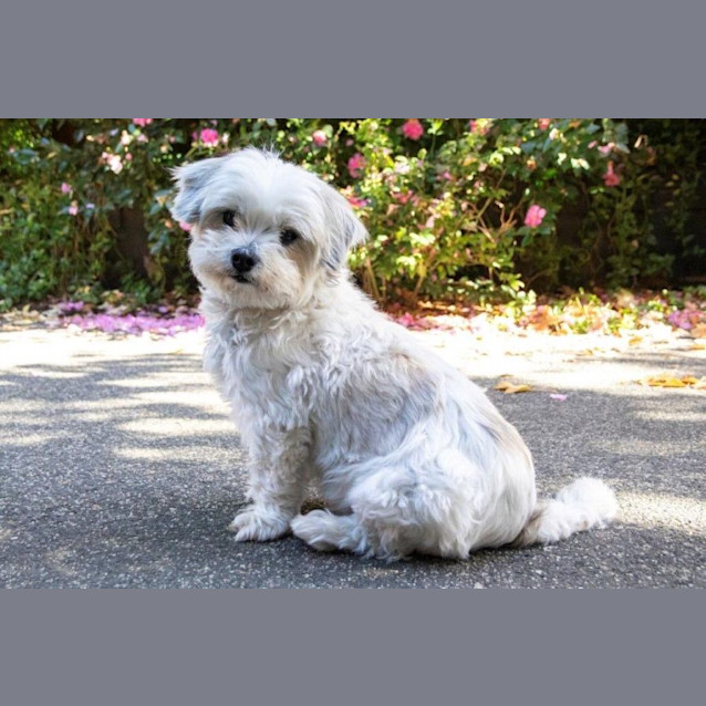 Photo of Candy Celestino