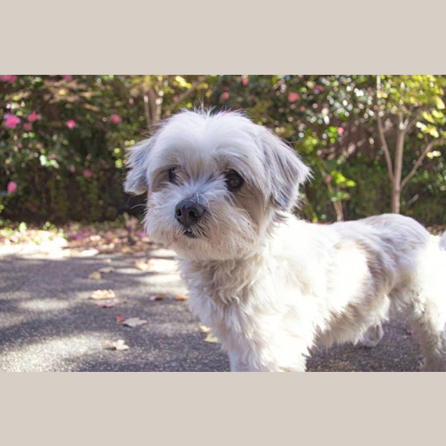 Photo of Candy Celestino