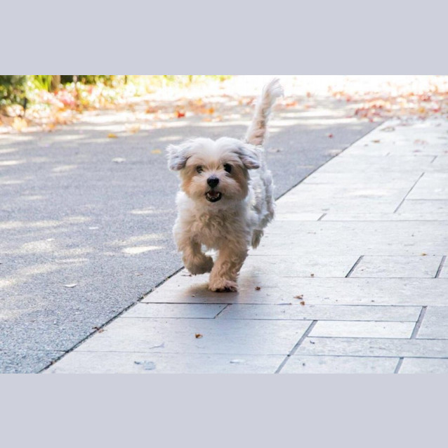 Photo of Candy Celestino