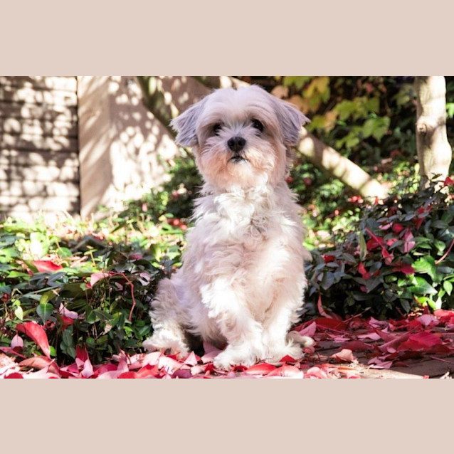 Photo of Candy Celestino